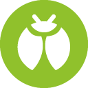 type insecte